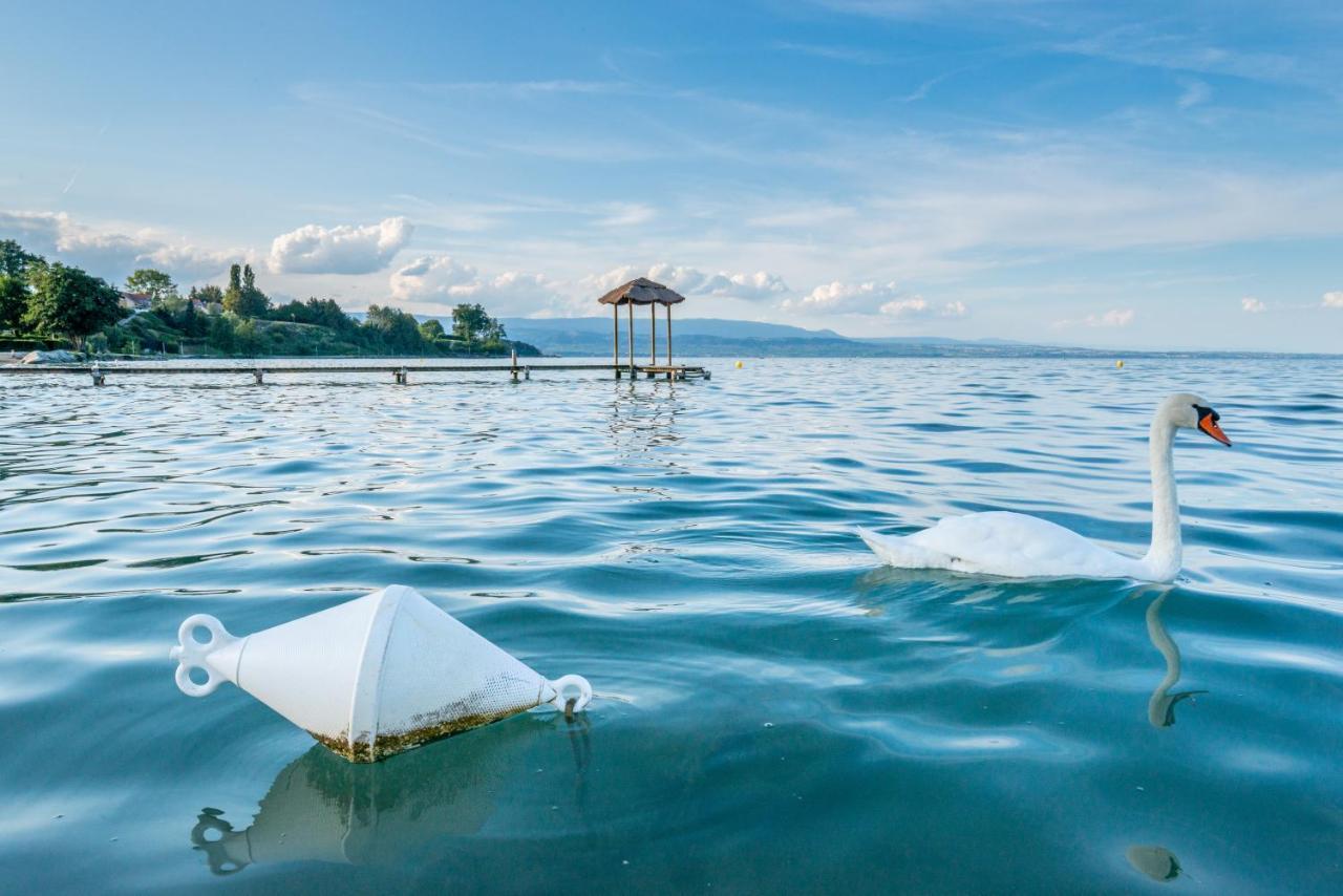 Hotel De La Plage Ексенве Екстериор снимка